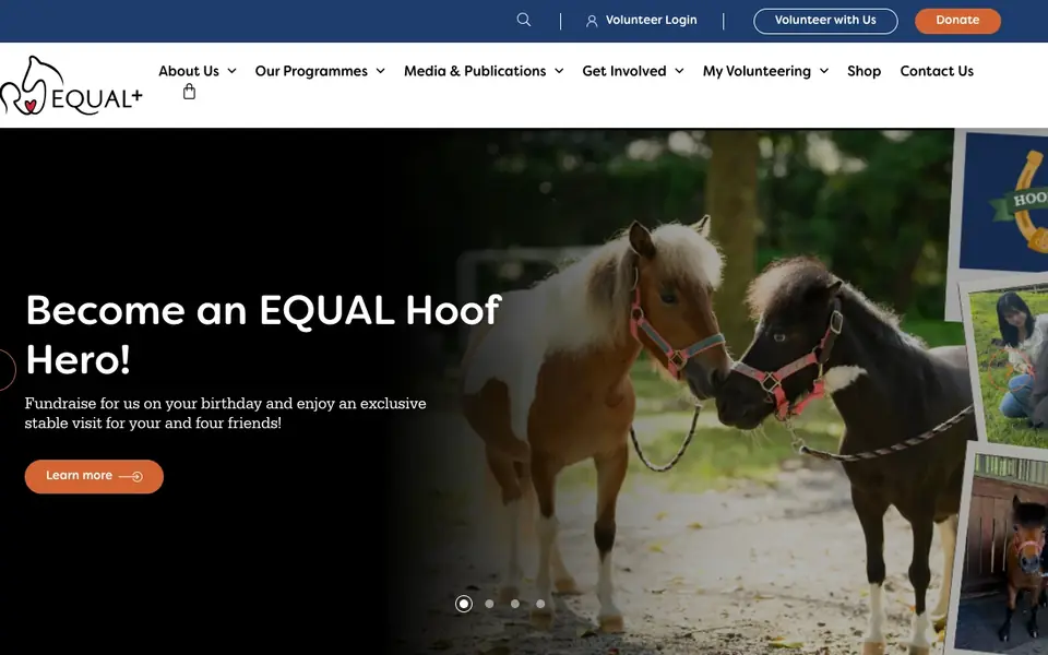 EQUAL website homepage, 4 Oct 2026