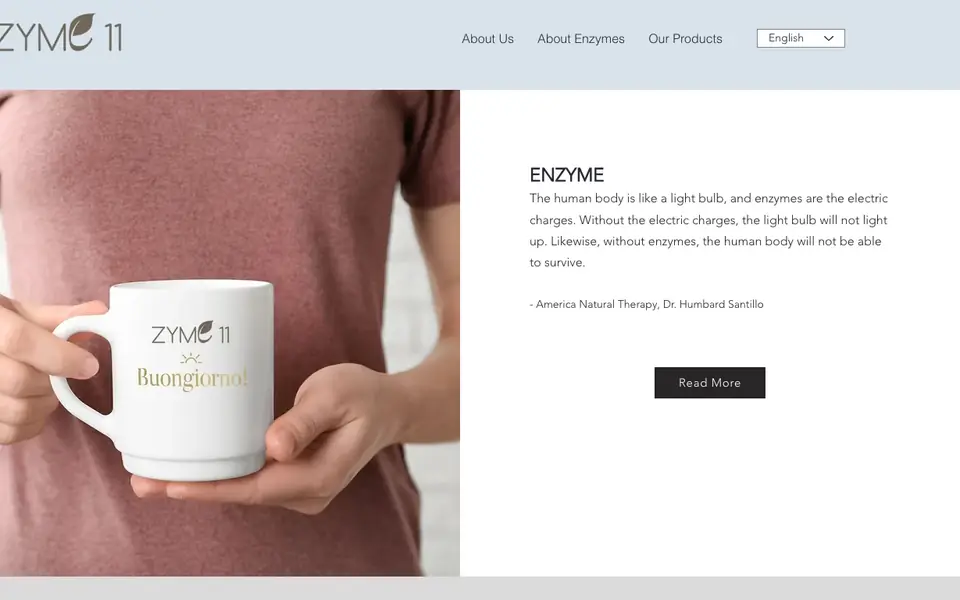 Zyme11 Enzyme website homepage, 4 Oct 2026