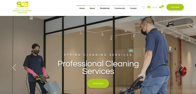 Spring Cleaning Services
