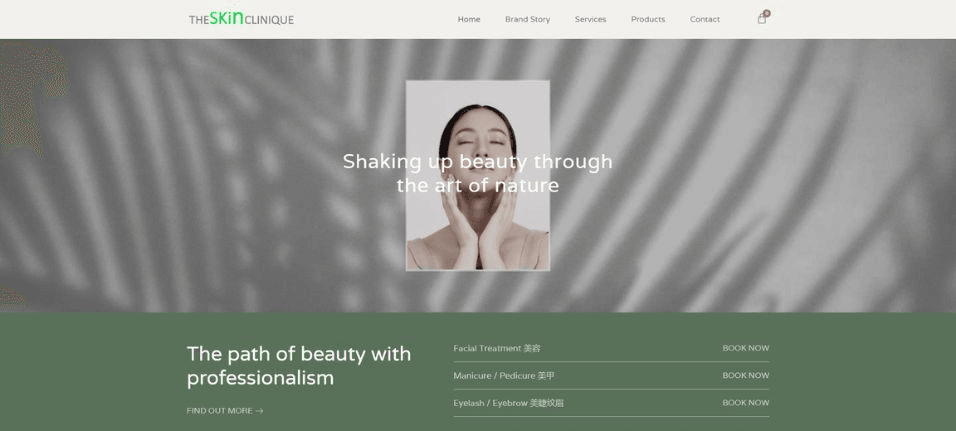 The Skin Clinique