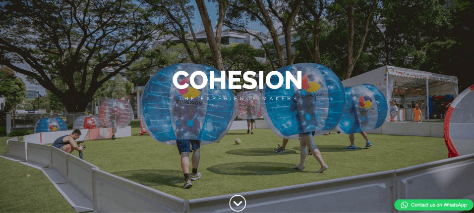Cohesion